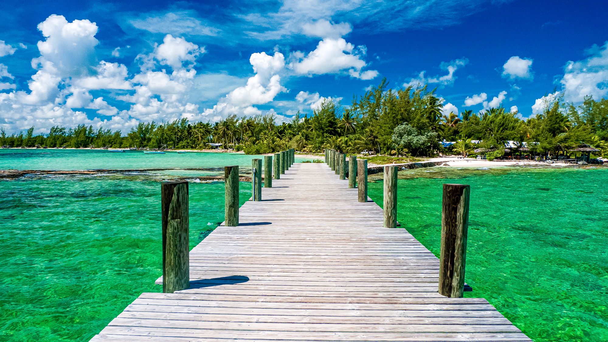 Andros Island Bahamas