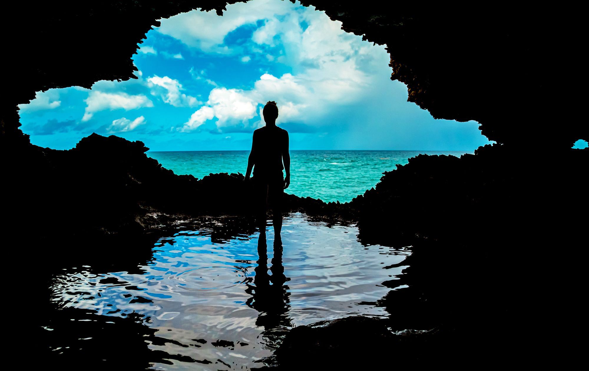 Barbados Animal Flower Cave