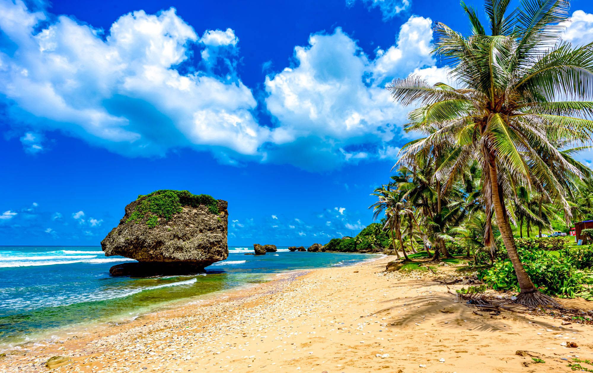 Barbados Bathsheba Beach