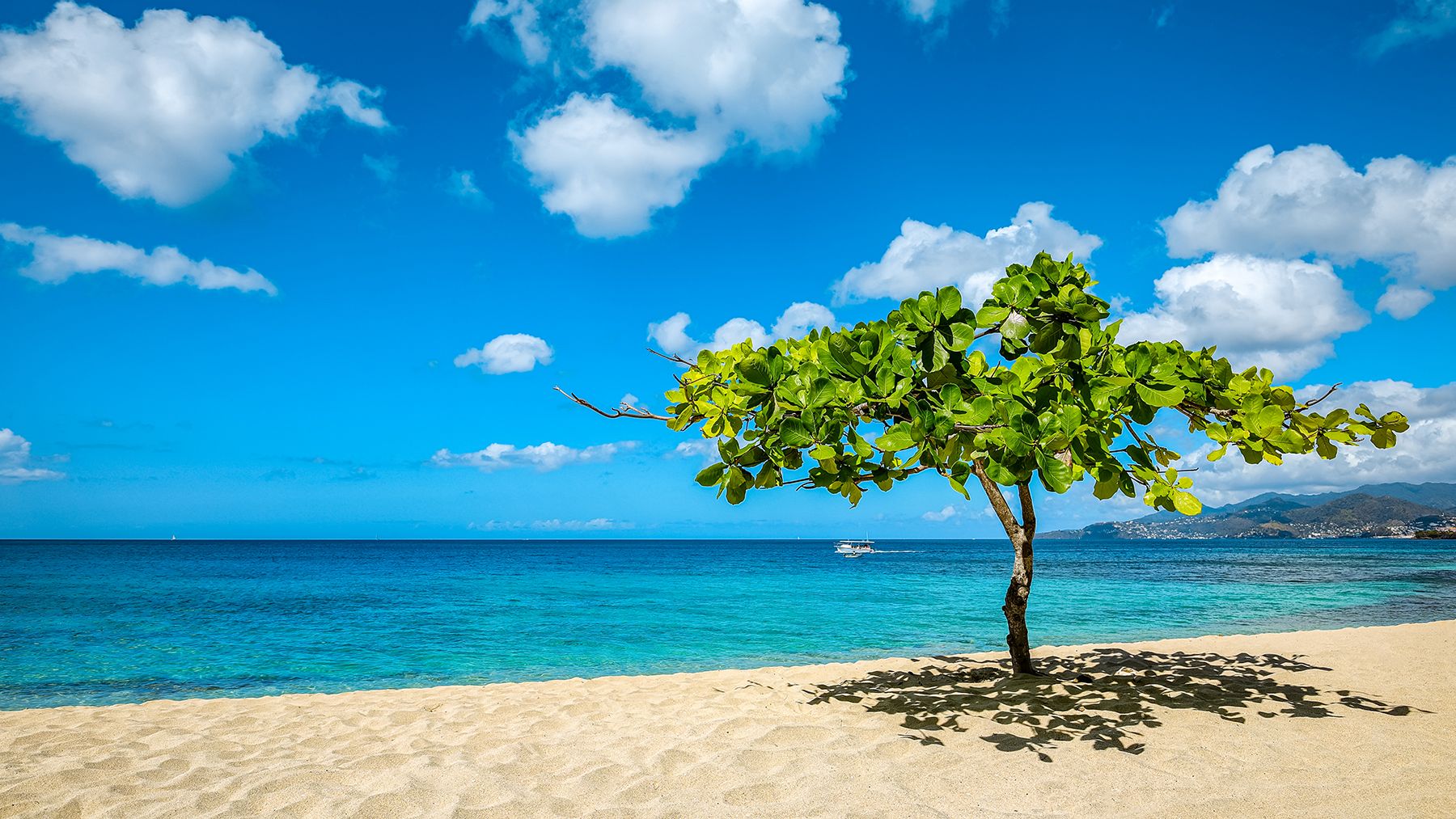 Magazine Beach Grenada