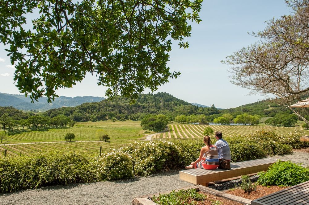 couple in napa valley california