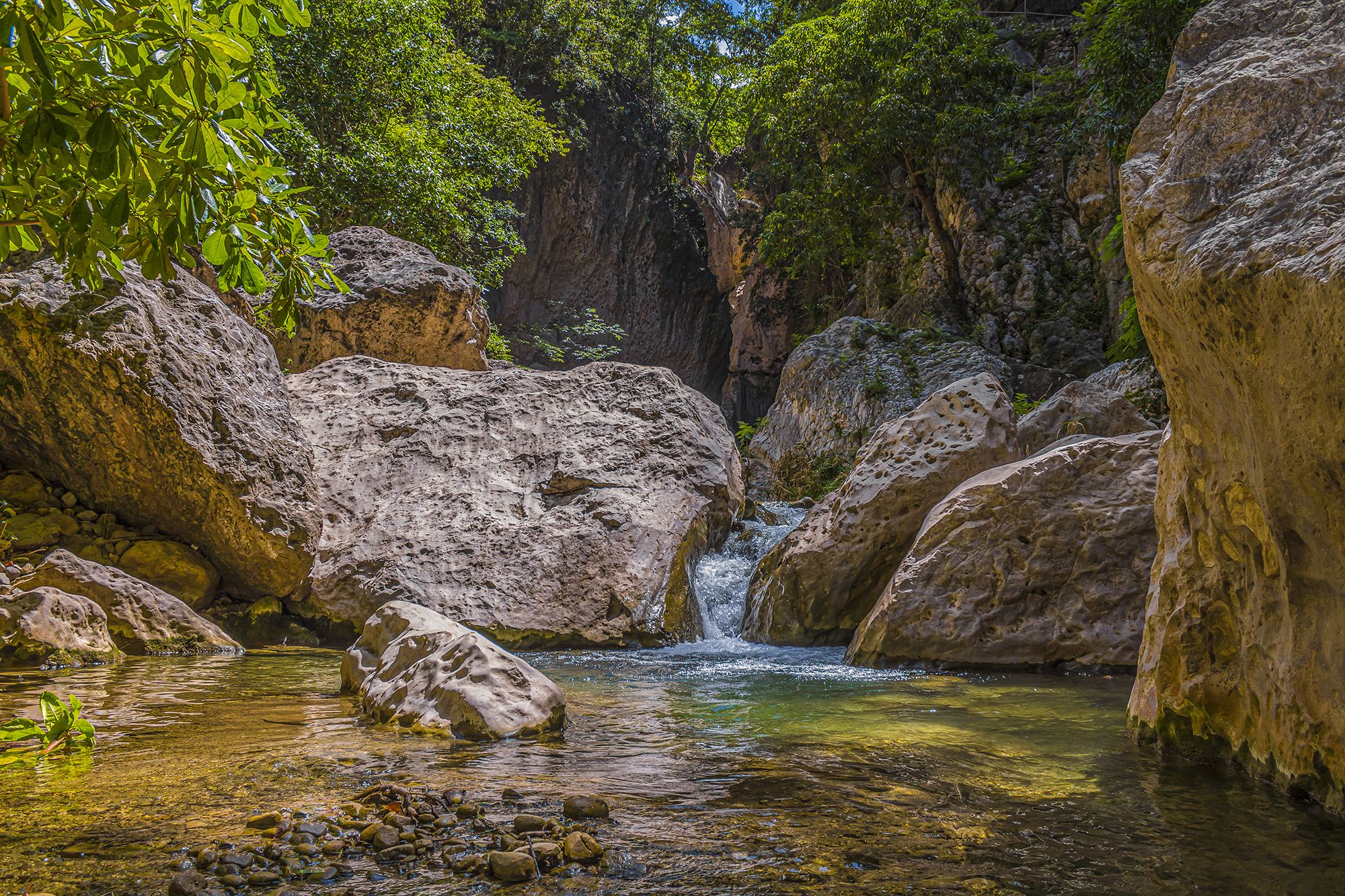 Cane River Falls Jamaica
