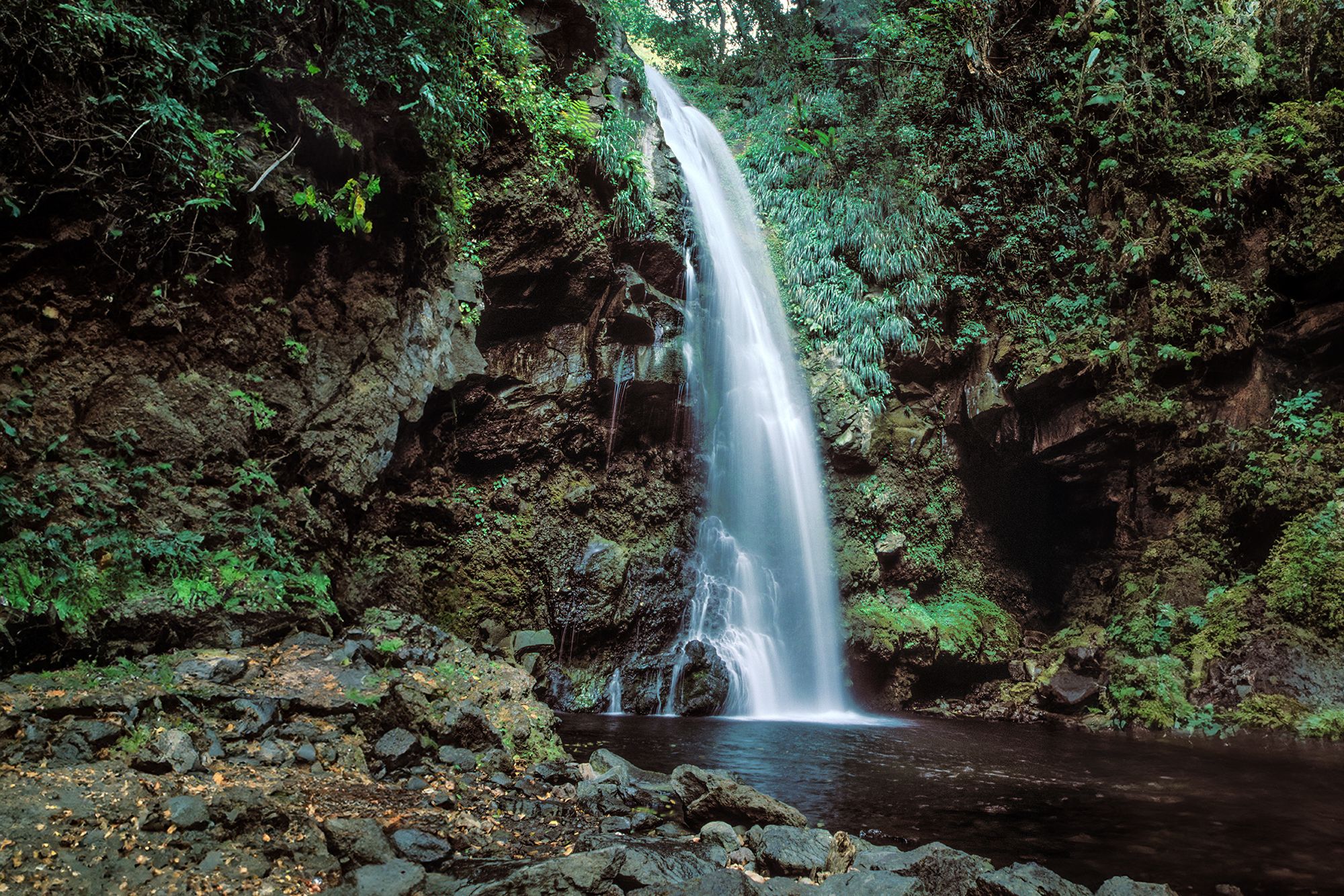 Saint Vincent Grenadines Falls Baleine