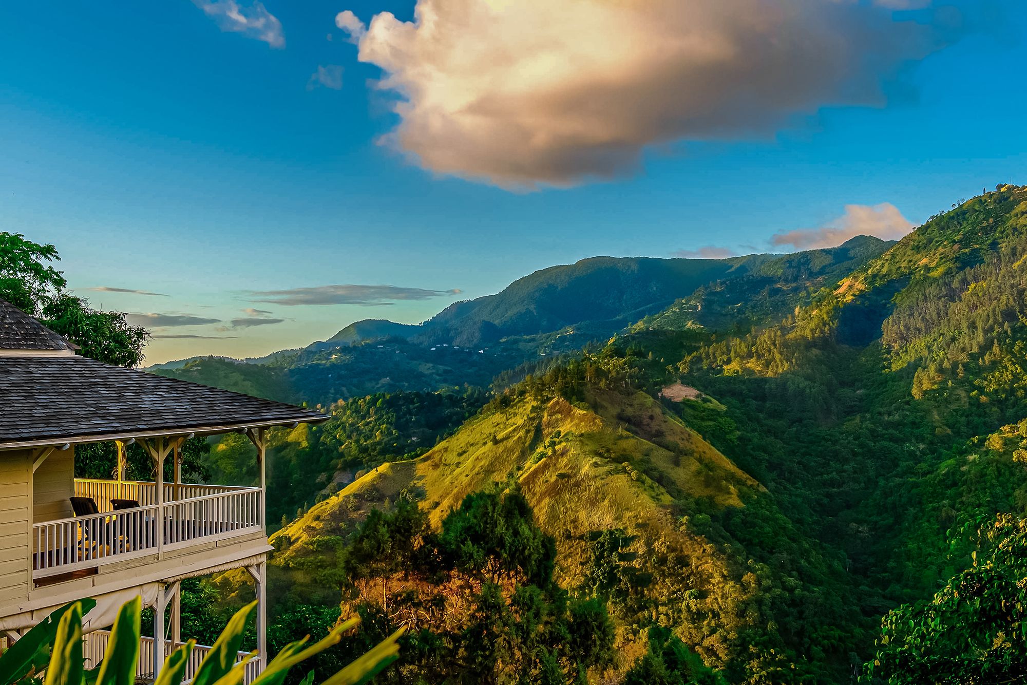 Strawberry Hill Jamaica