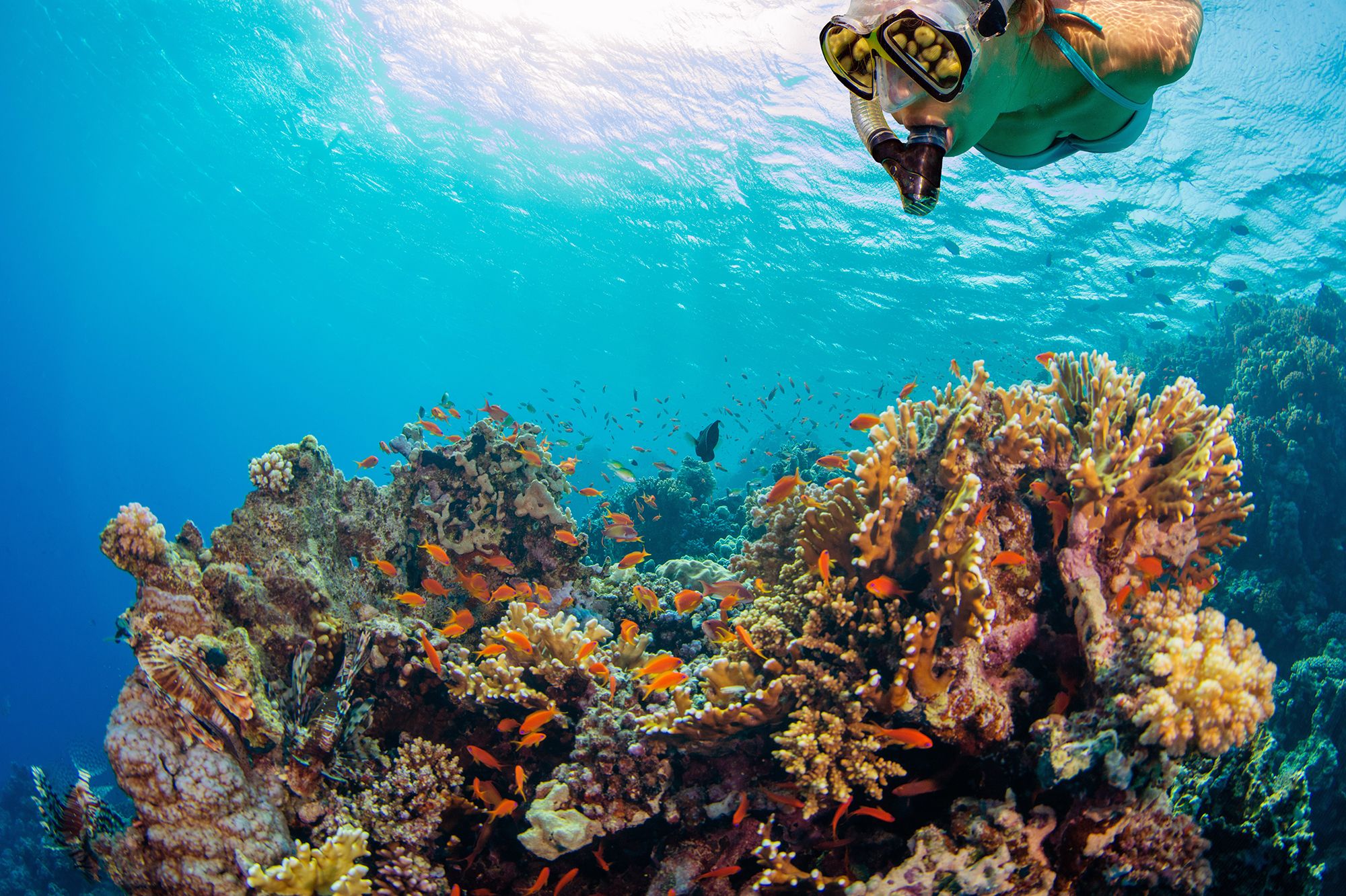 Anse-Cochon-Beach-SNorkel-St-Lucia