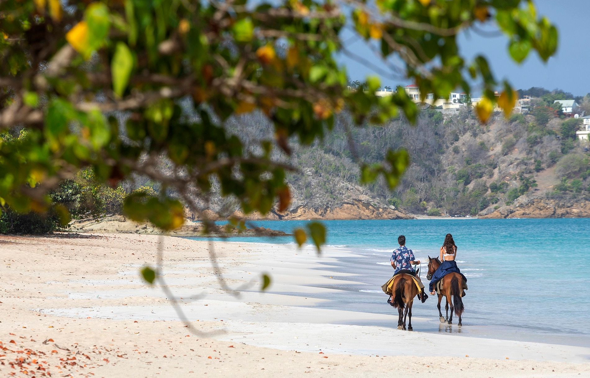 antigua-beach-horse-riding