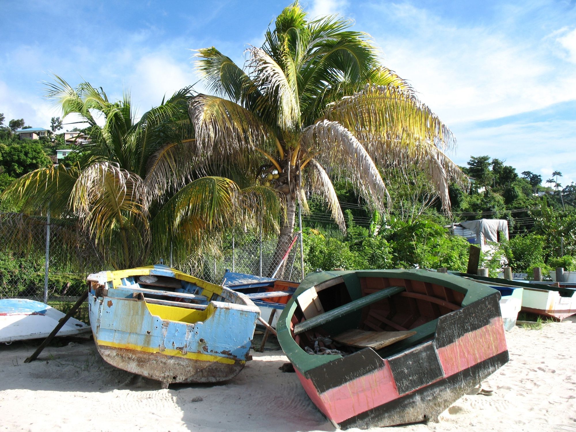 grenada-grand-anse-boats-Travel-Bug
