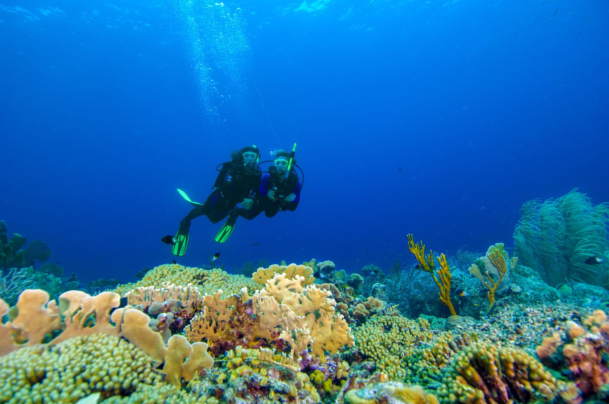 sandals-curacao-scuba-2--1--3