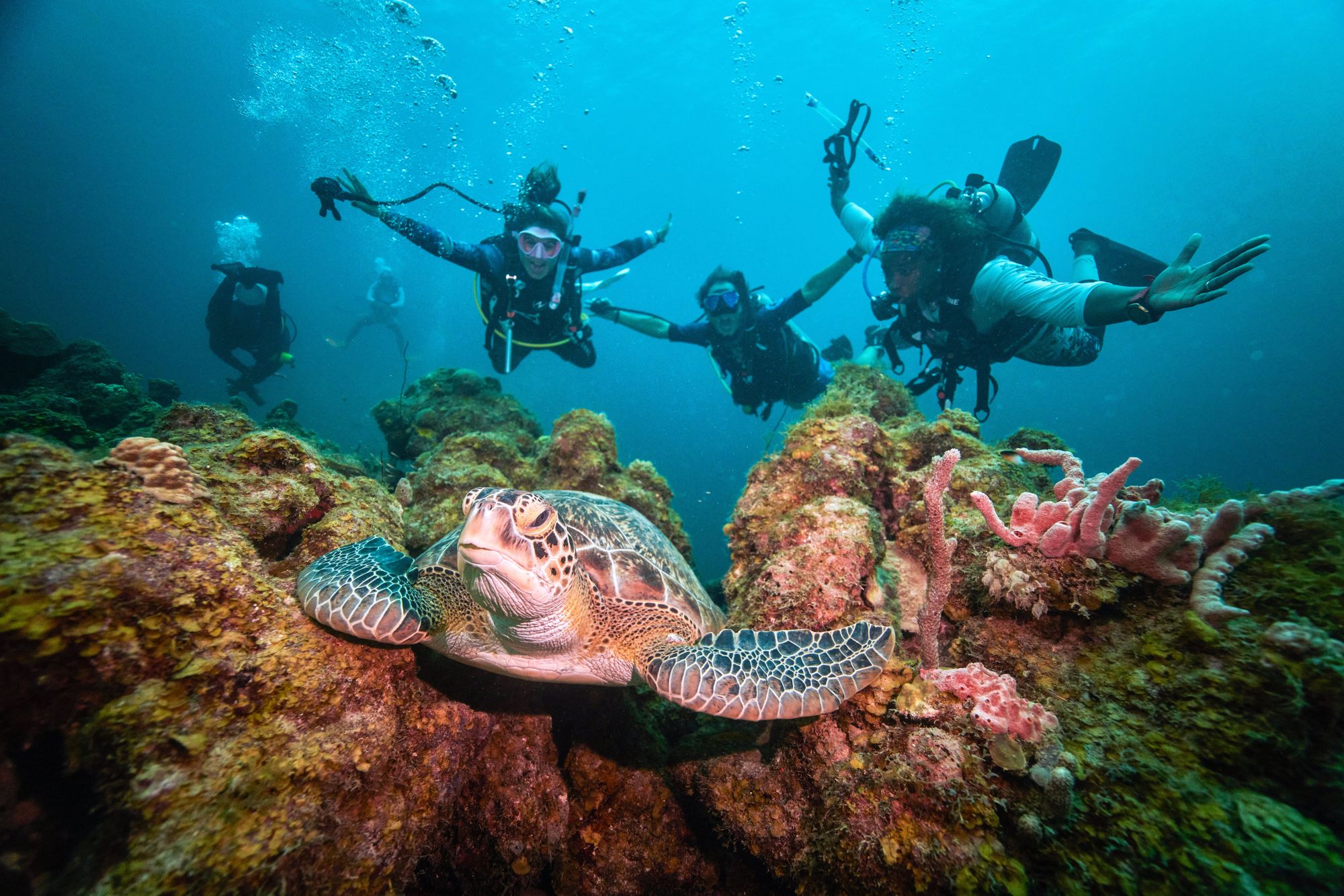 sandals-curacao-scuba-4-3