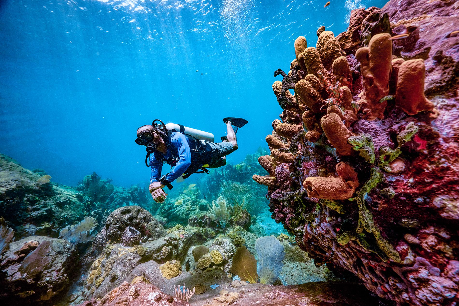 19-Things-St.-Lucia--and-snorkling-