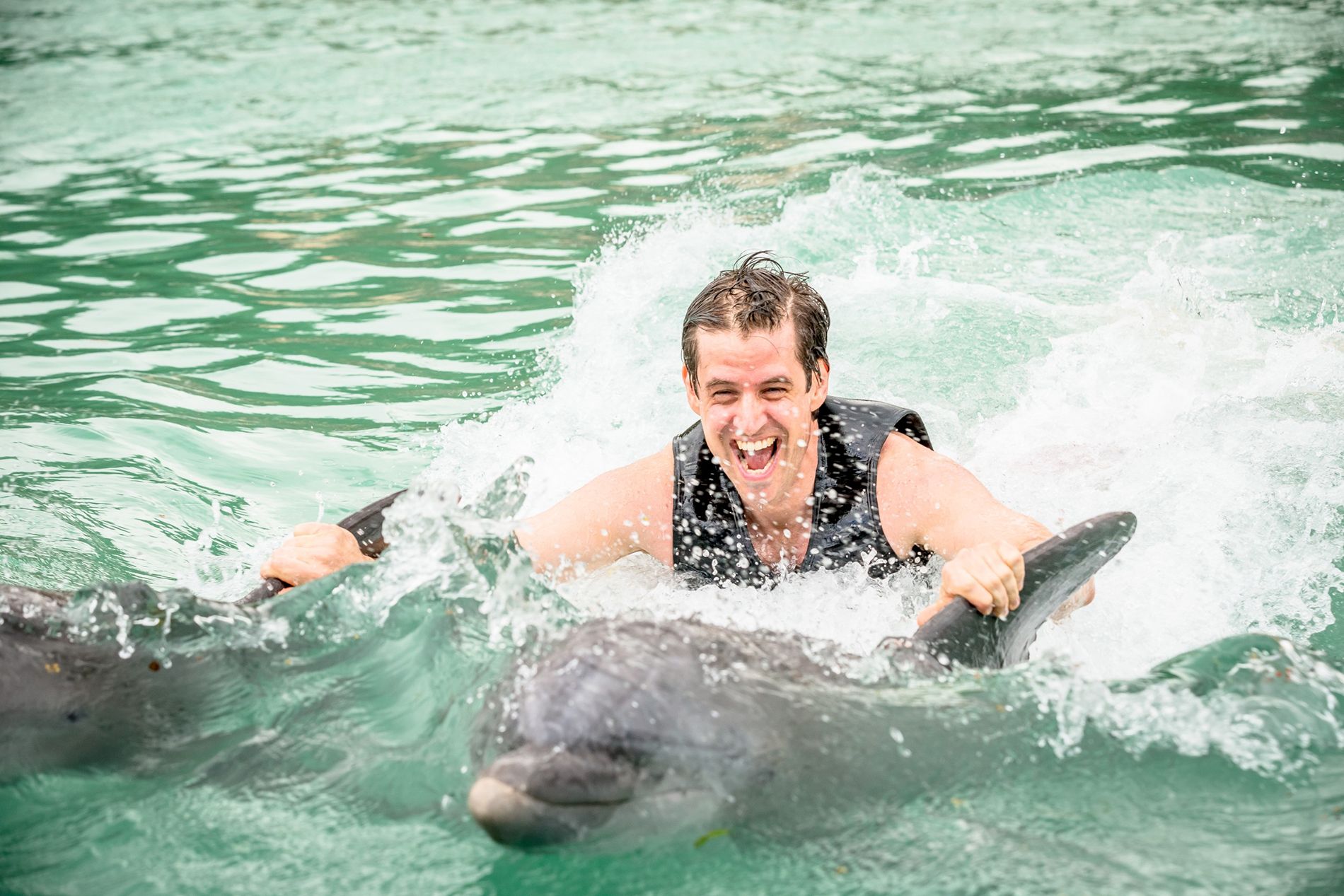Top-42-Things-Montego-Bay--swim-with-dolphins-