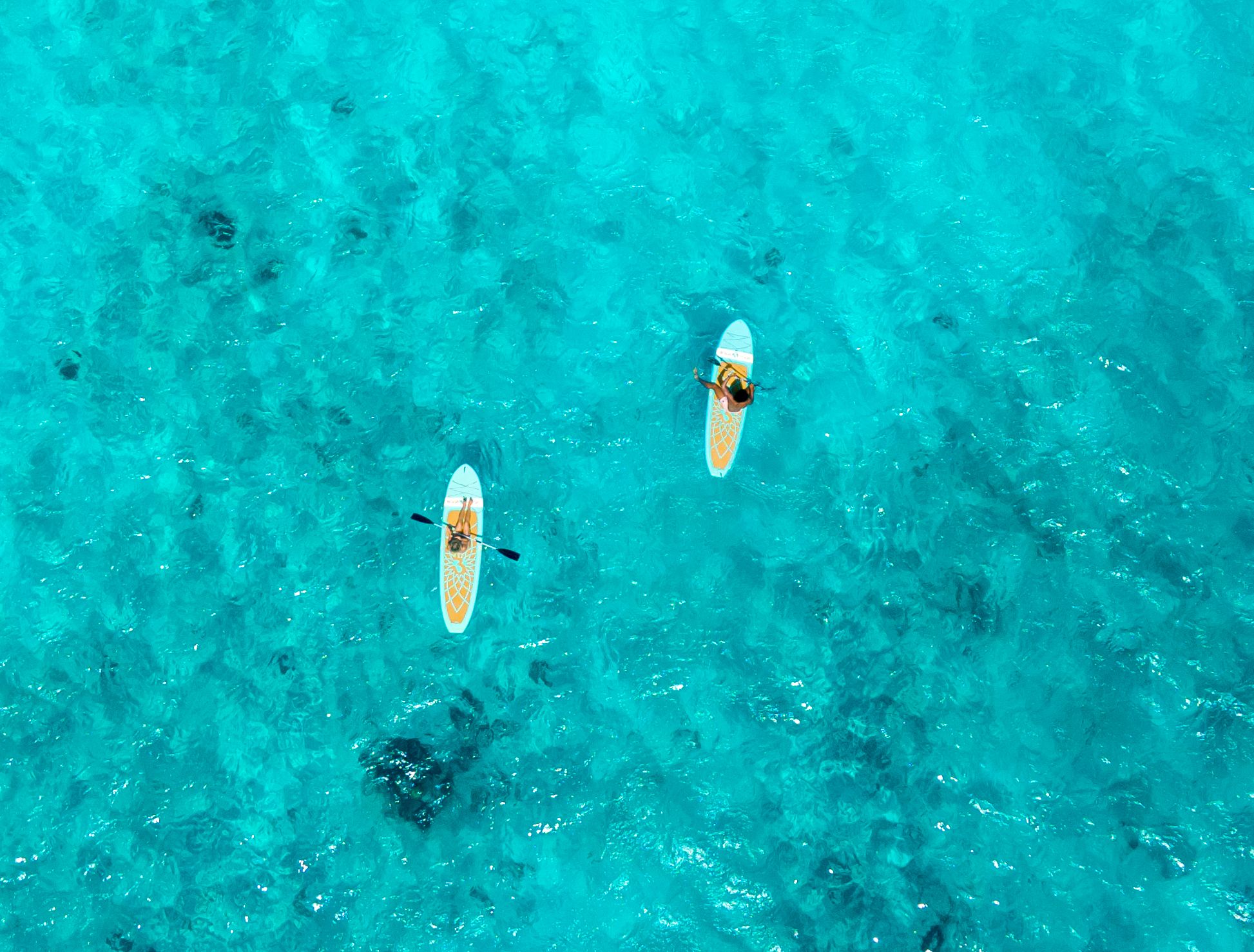 couple paddleboard adventure