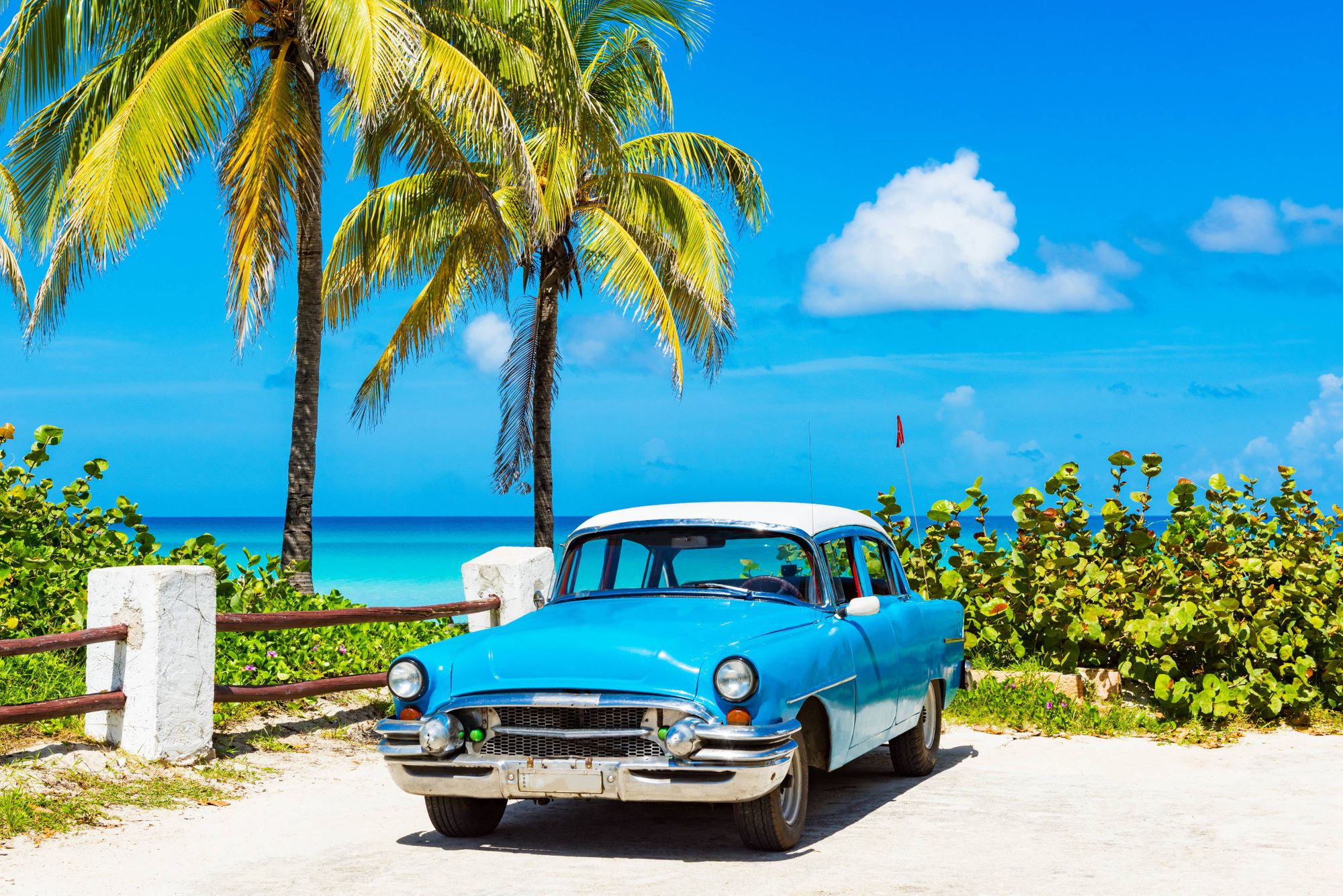 shutterstock_1252914934--1-