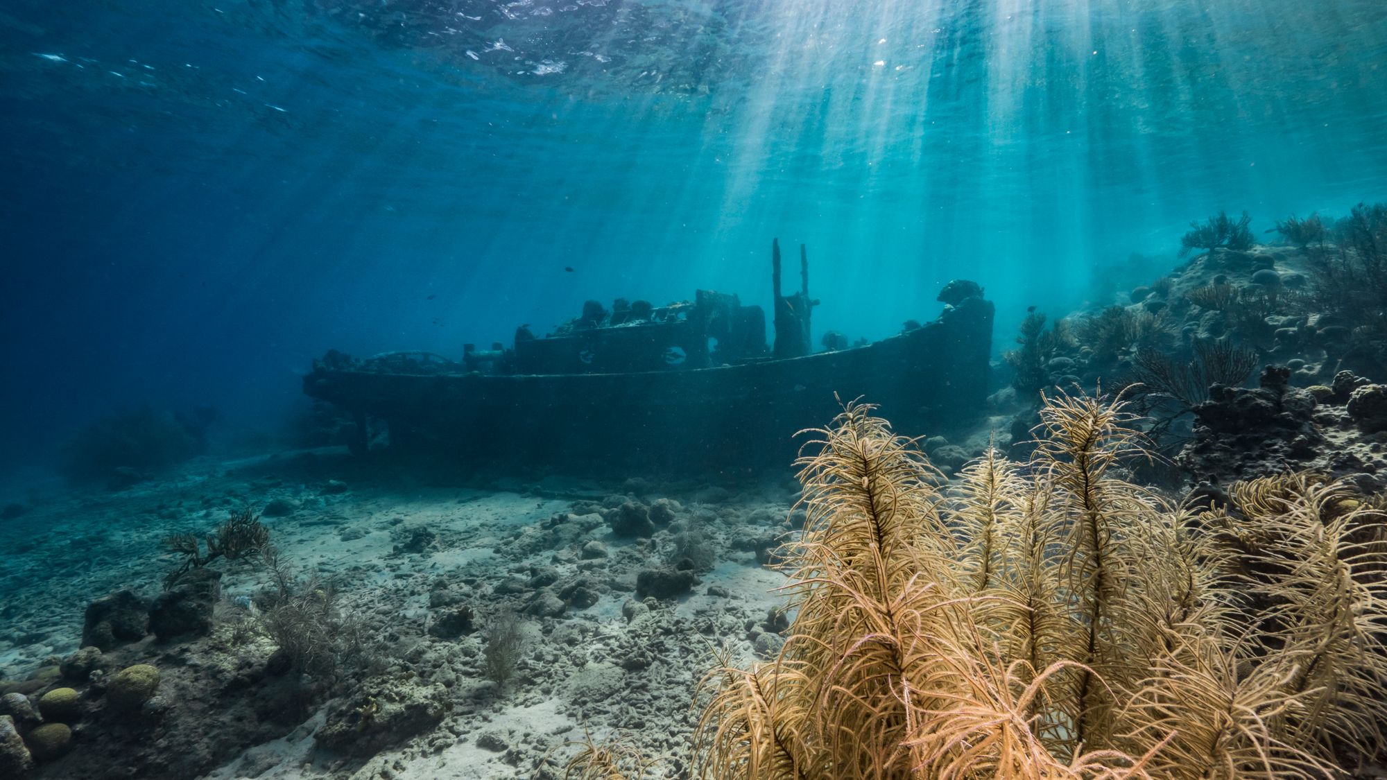 Tugboat Wreck Curacao