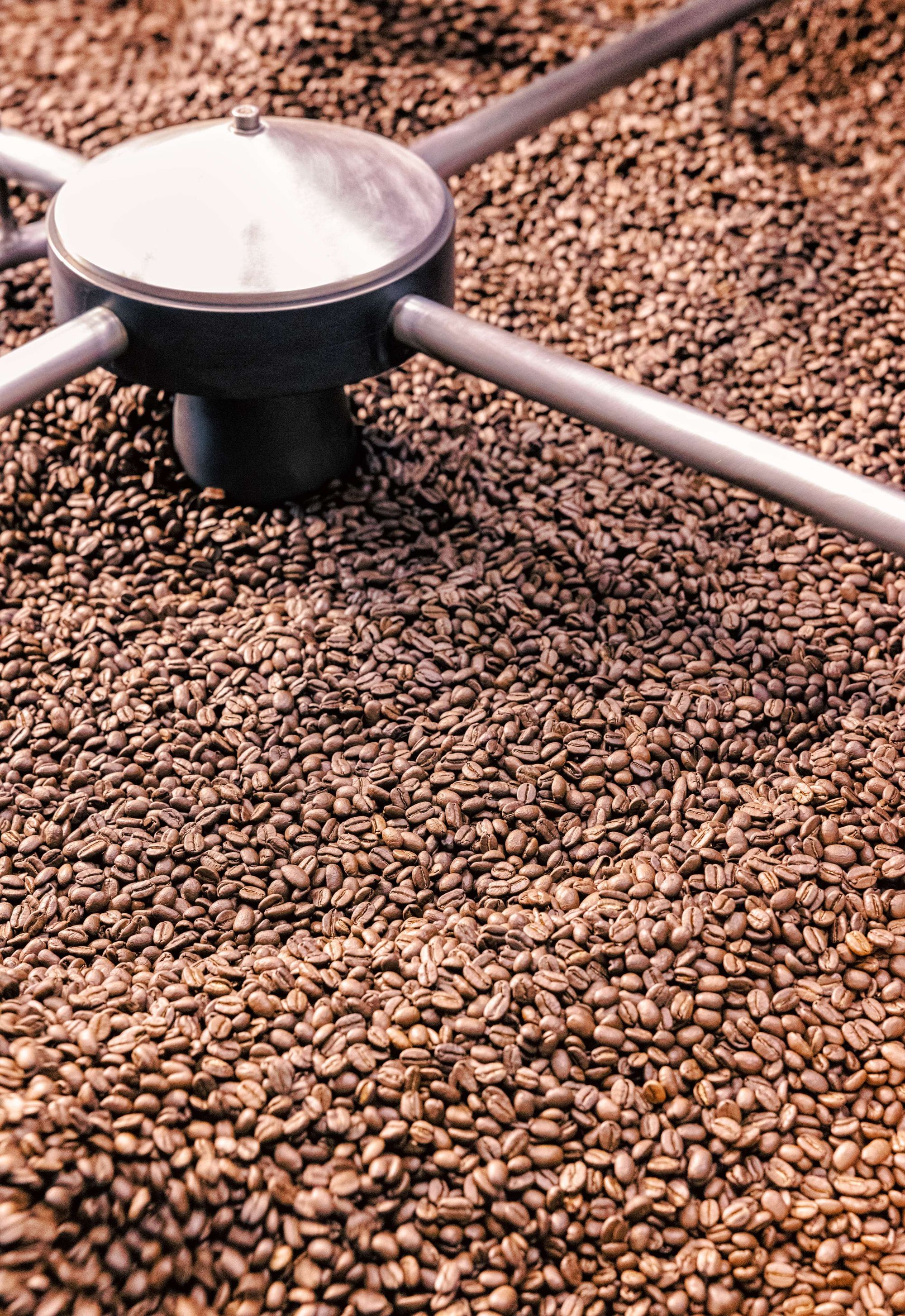 blue-mountain-coffee-beans