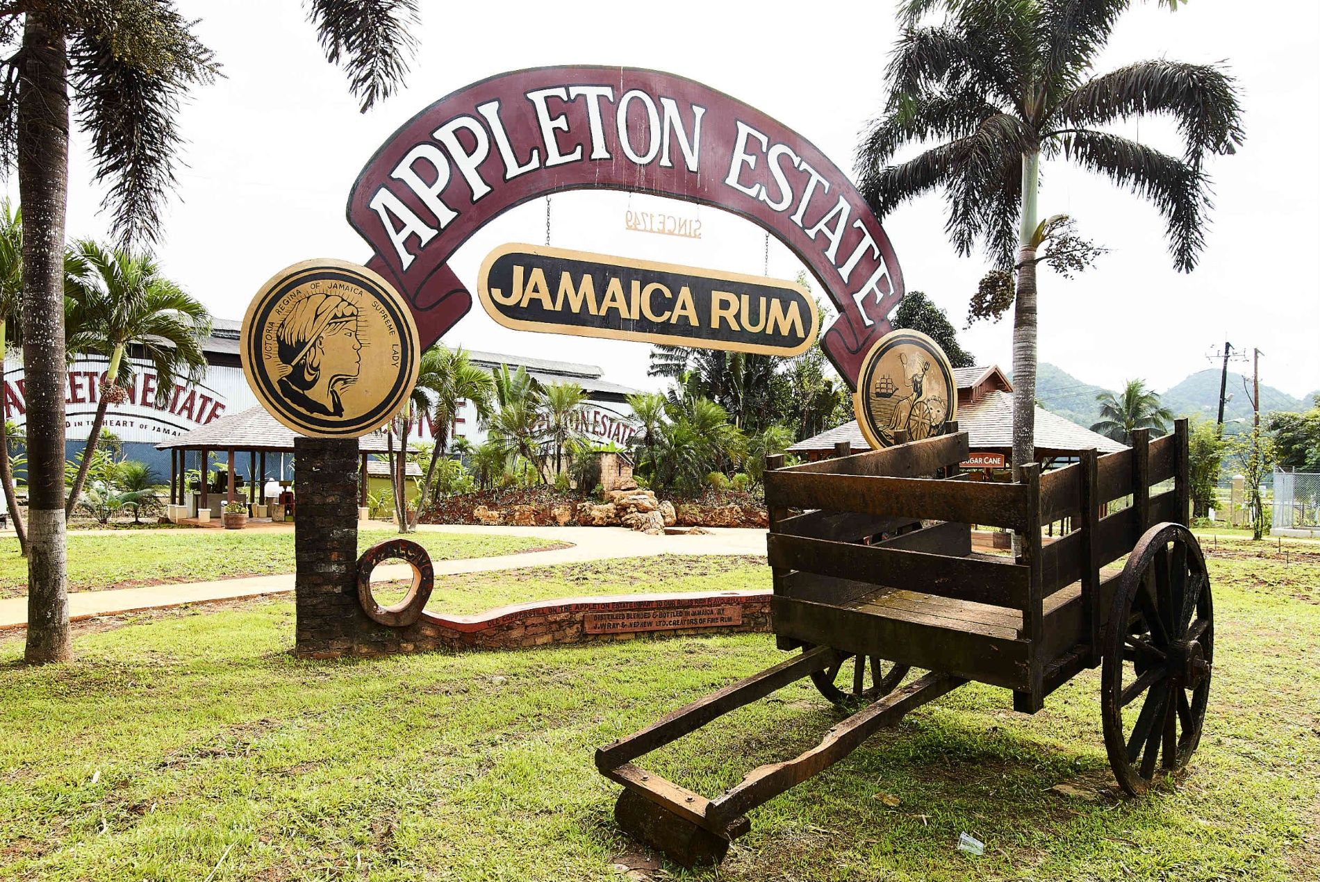 jamaica-appleton-estate-51-1