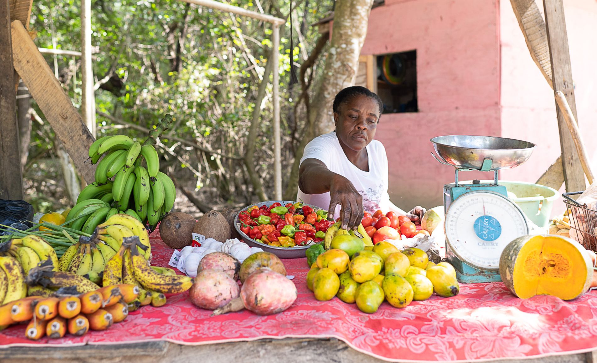 saint-lucia-food