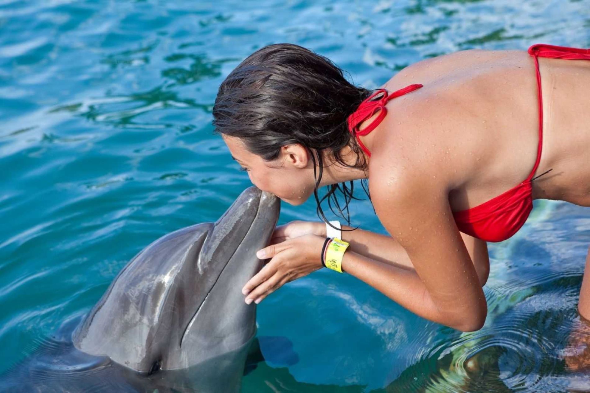 sandals-bahamas-nassau-blue-lagoon-dolphin-island-routes-1