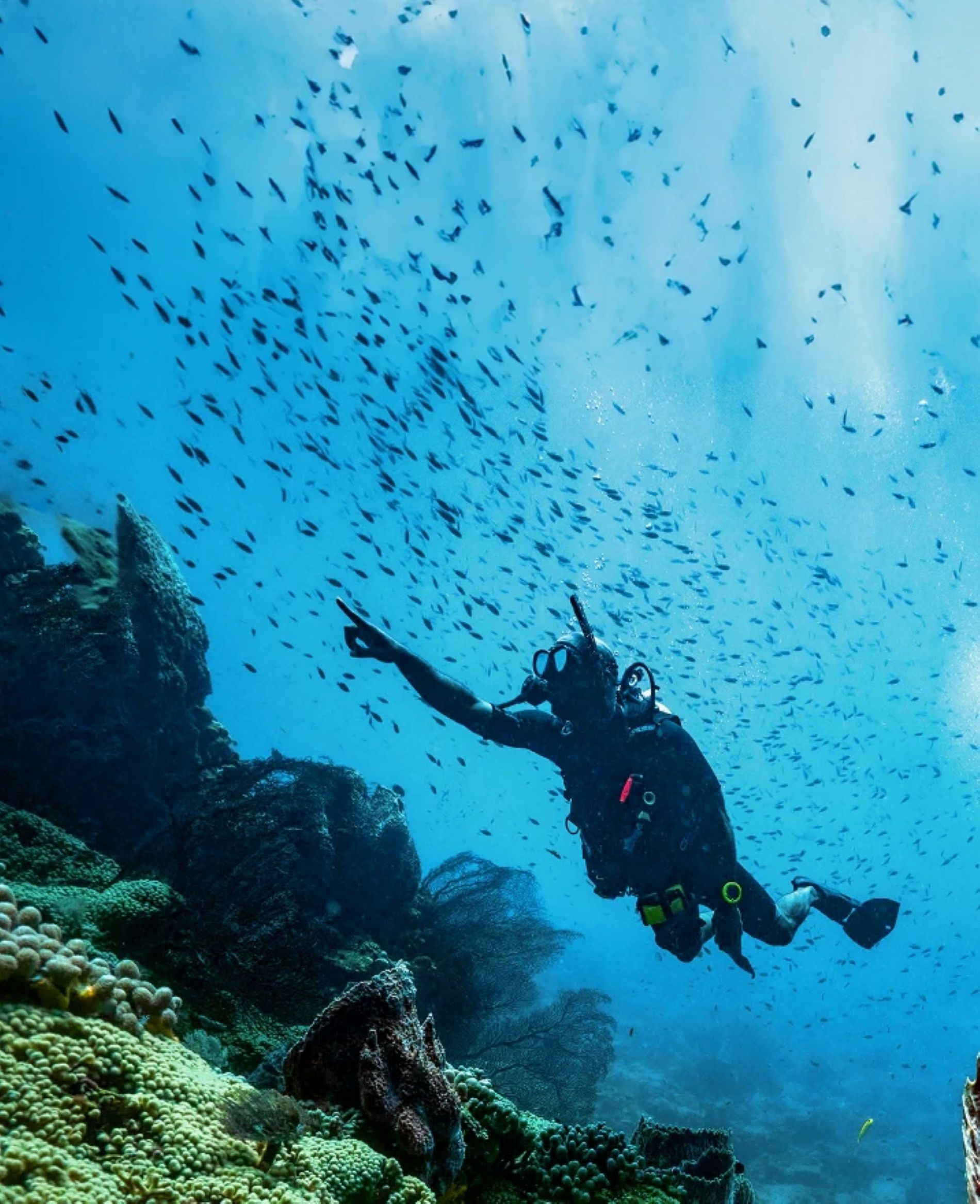 sandals-royal-bahamian-scuba-pointing