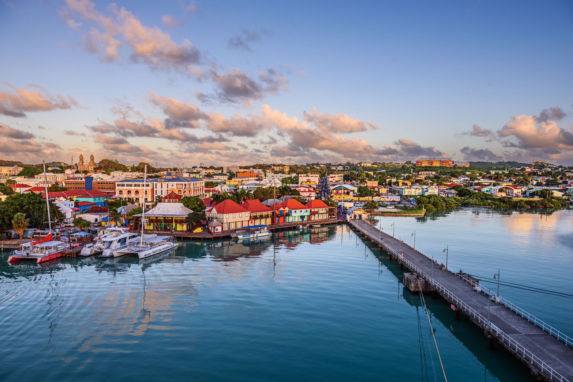 shutterstock_2323040123--1-