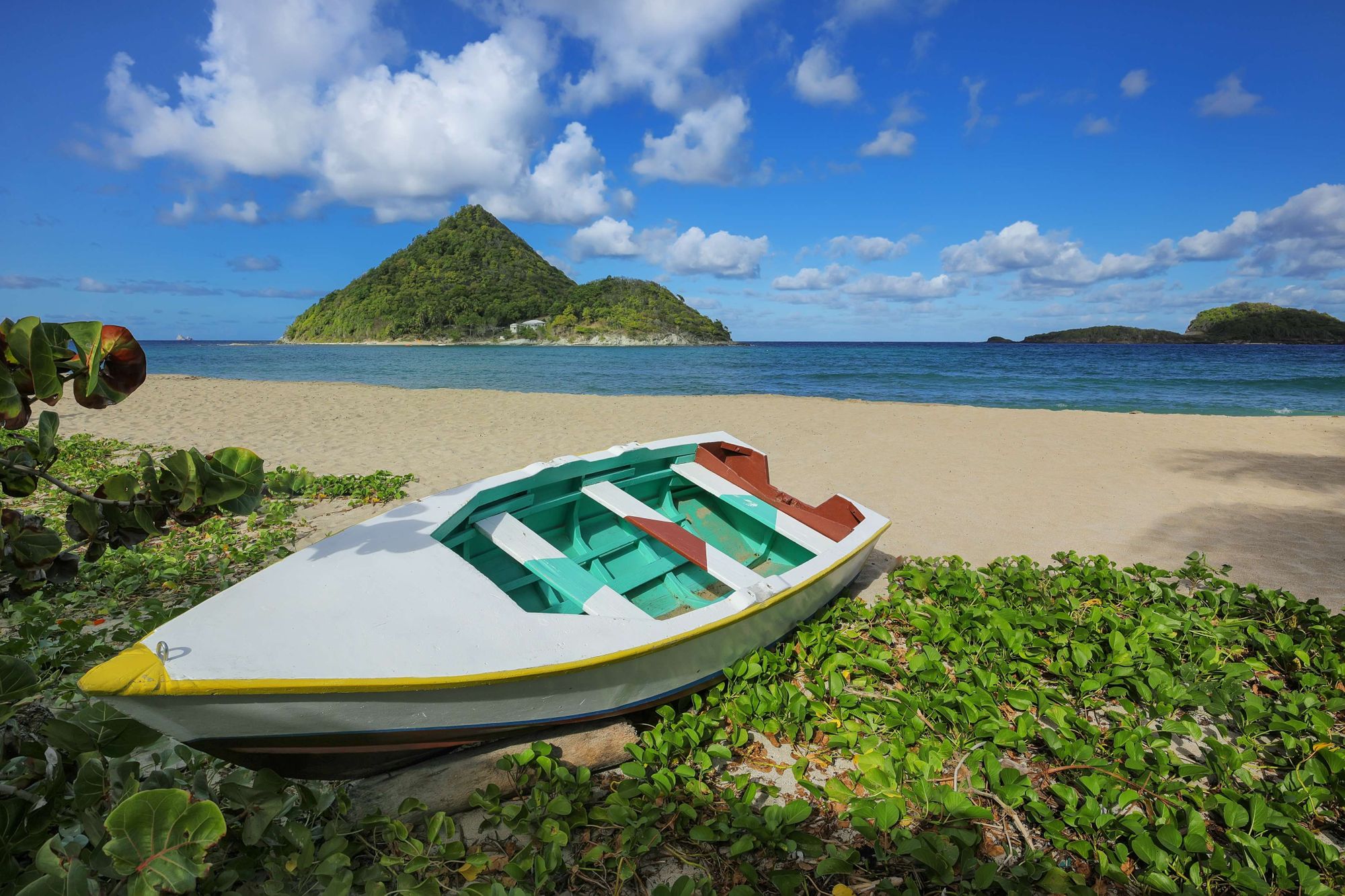 Levara national park Grenada
