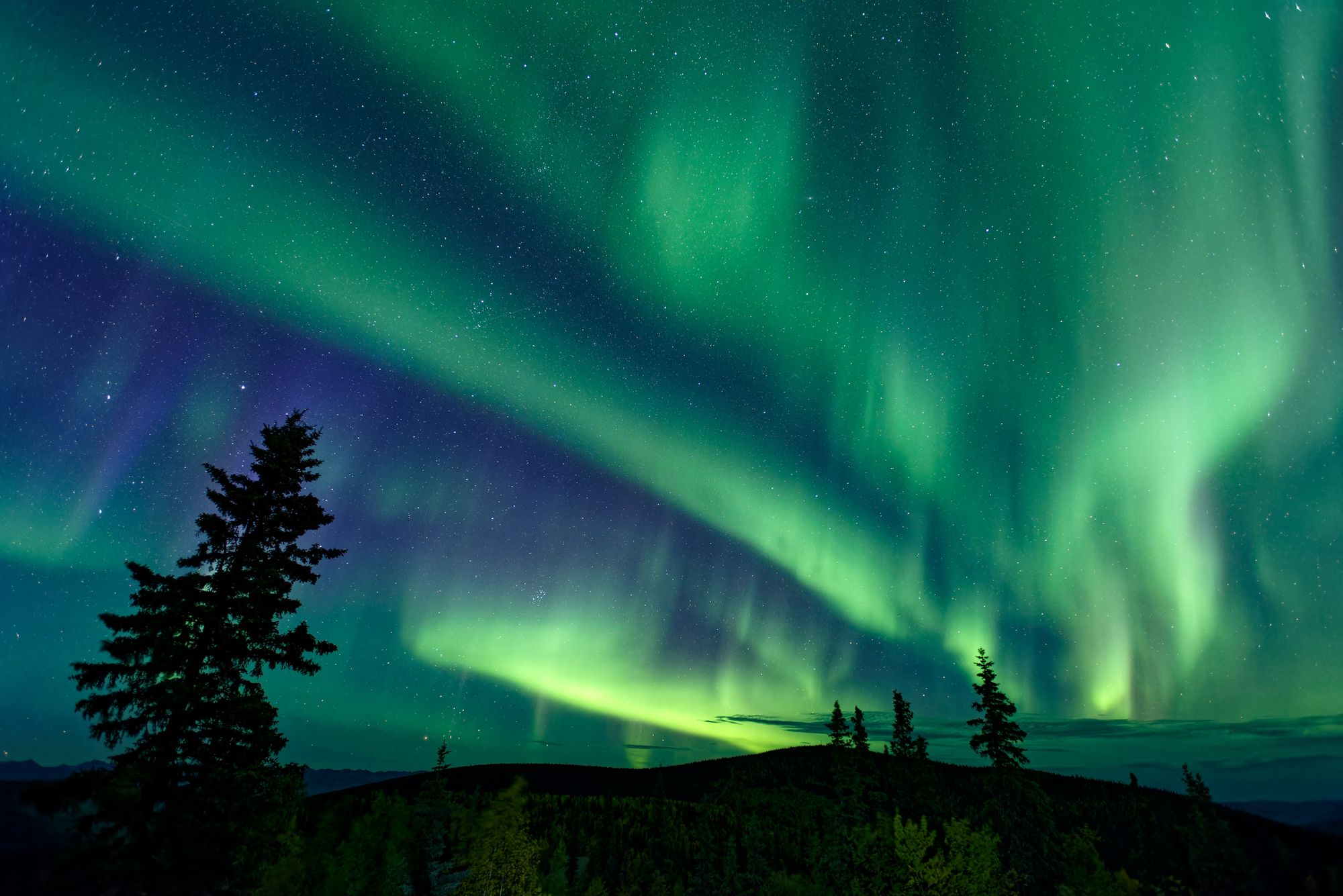 Northern lights Canada
