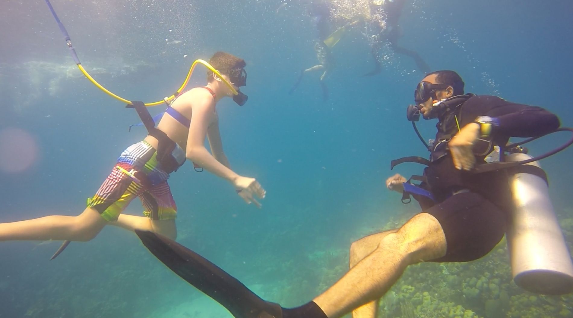 snuba-and-scuba-db-2022-08-22