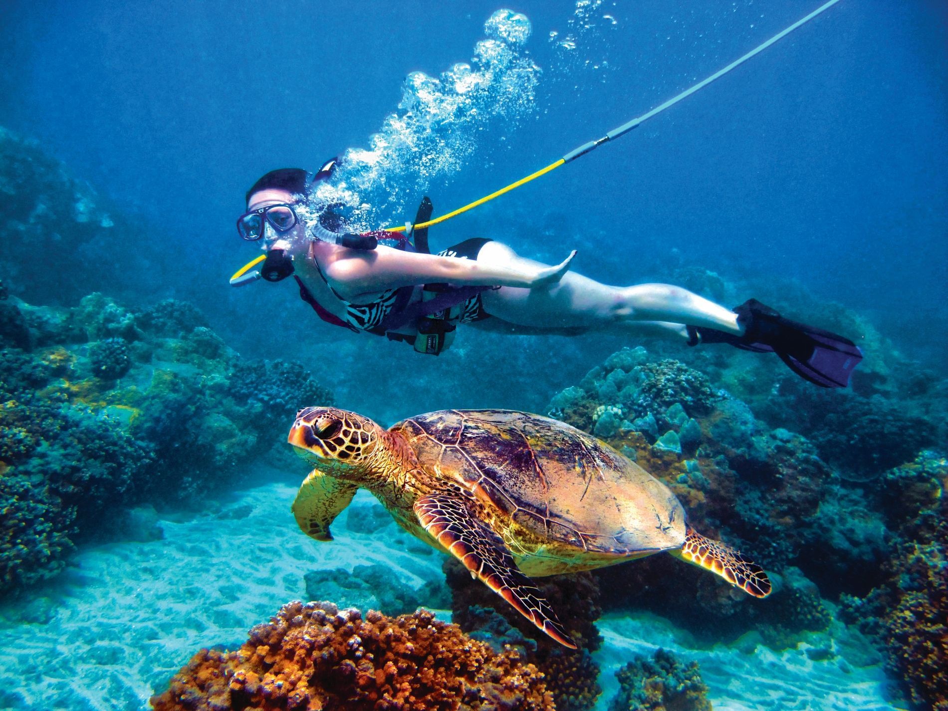 snuba-woman-tutle-db-wturtle-1-1
