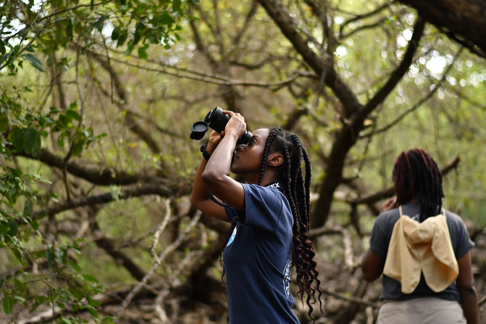 From Mangrove-Lined Coasts and Flourishing Farms on Composted Soil to Solar-Powered Schools: These are Our Living, Breathing Caribbean Islands