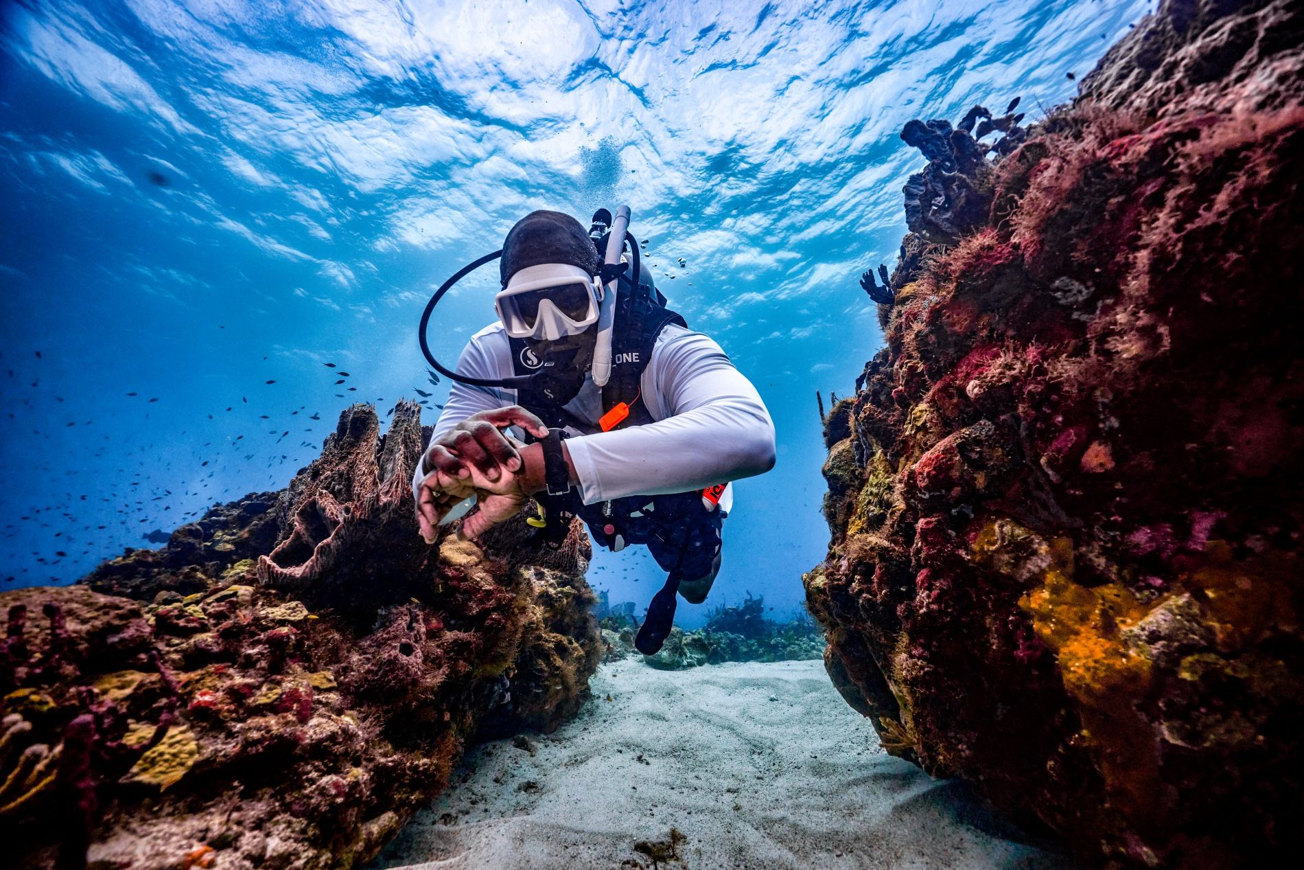 saint-lucia-snorkel-coral-reef-1
