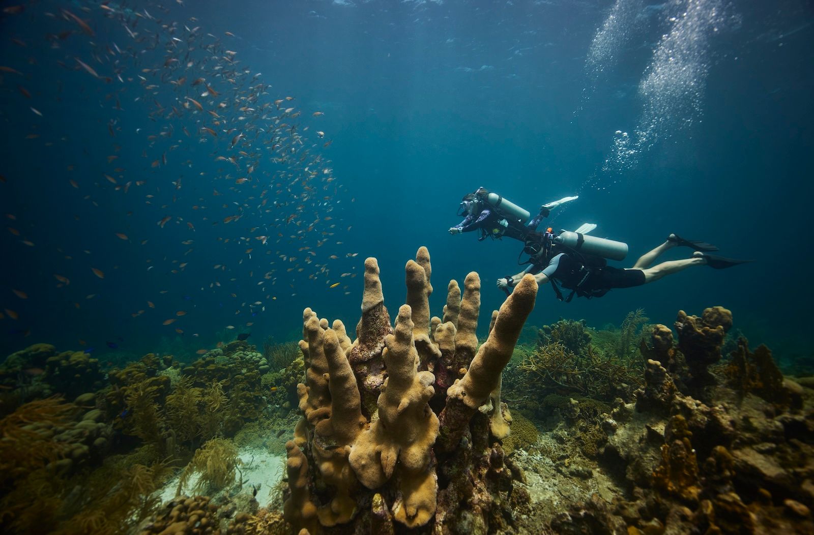 PADI-SANDALS-CURACAO-2022-DAY-001-02206