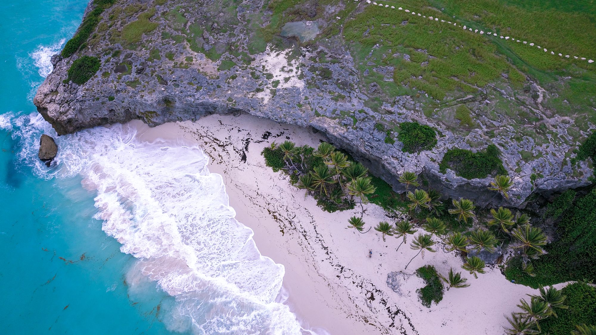 bird eye view crane beach barbados