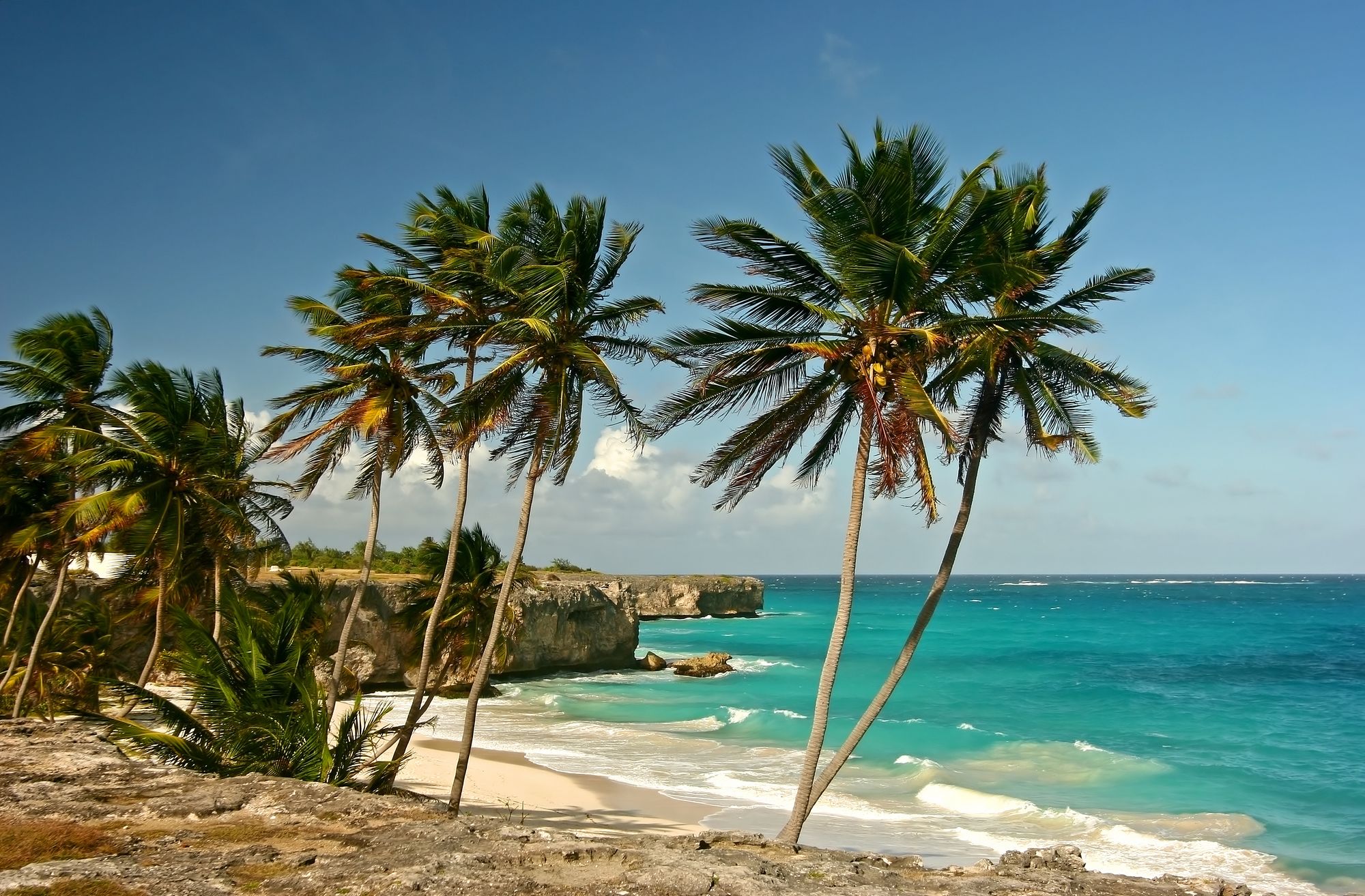 Bottom Bay Barbados beach