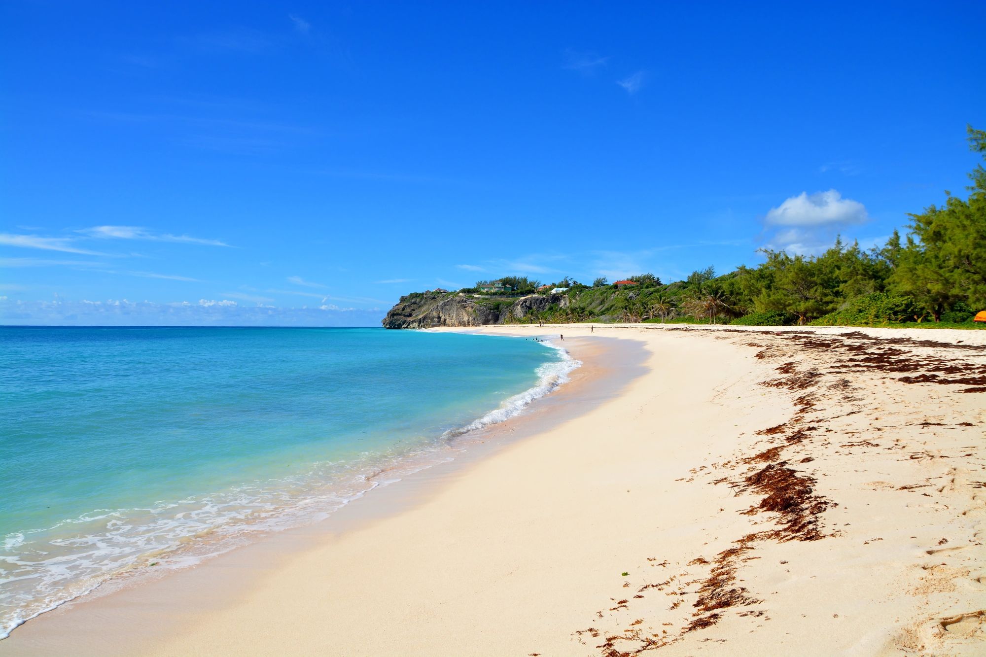 Crane Beach Barbados
