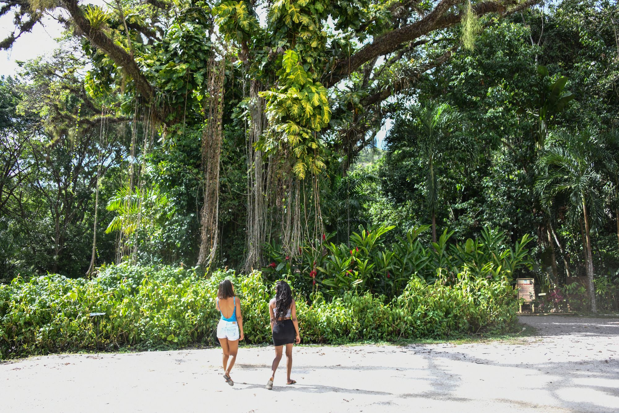 Women-at-YS-Falls-Jamaica-tourists