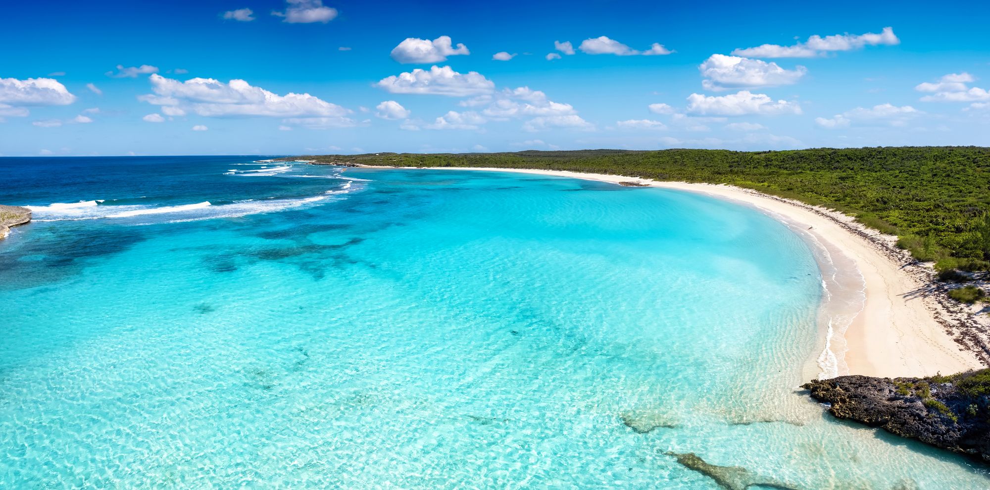 shutterstock_2222408737