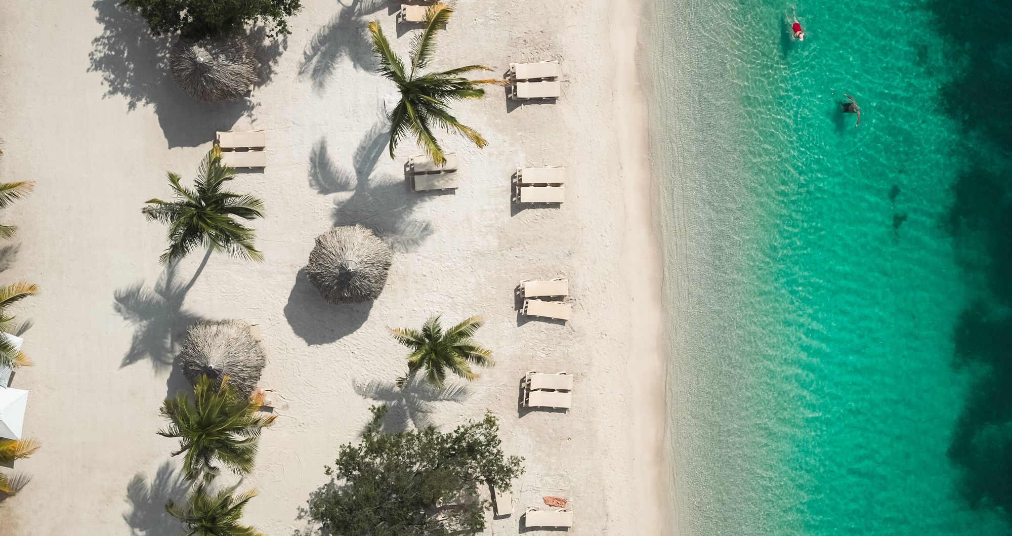 Web-Version-SCR-Lifestyle-Birds-eye-5