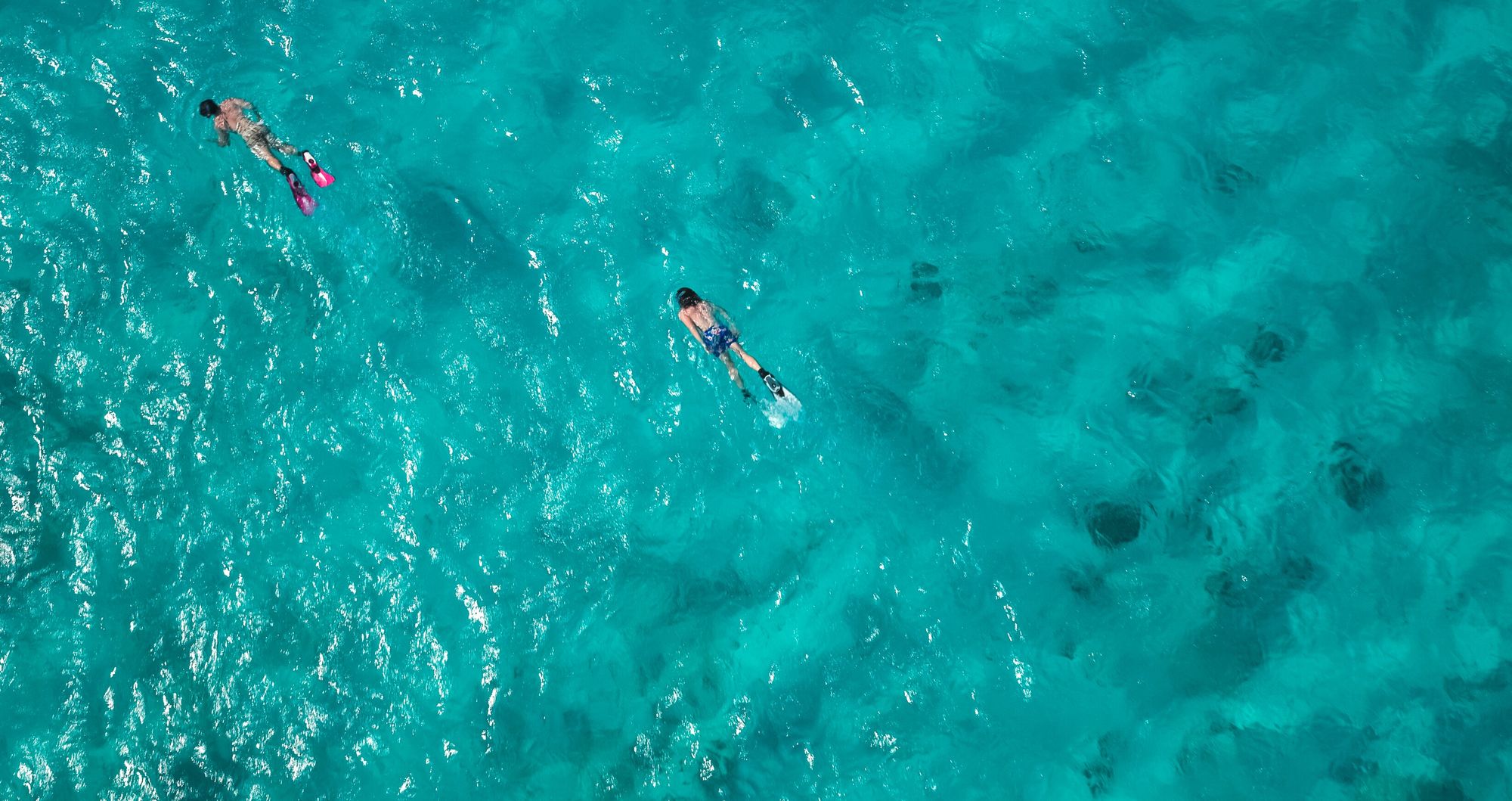 Web-Version-SCR-Lifestyle-Birds-eye