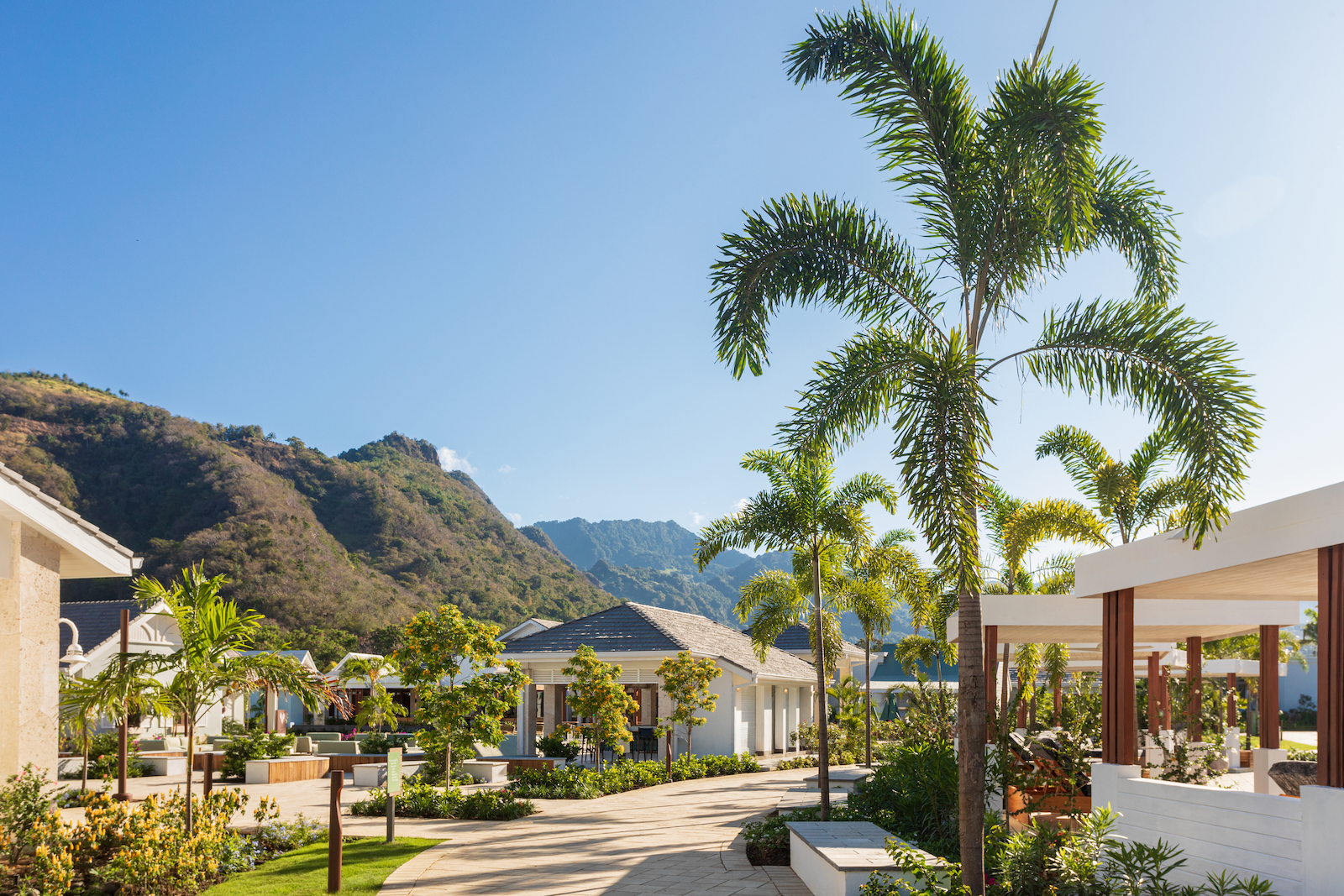 PNG-Version-Generated-image--1-