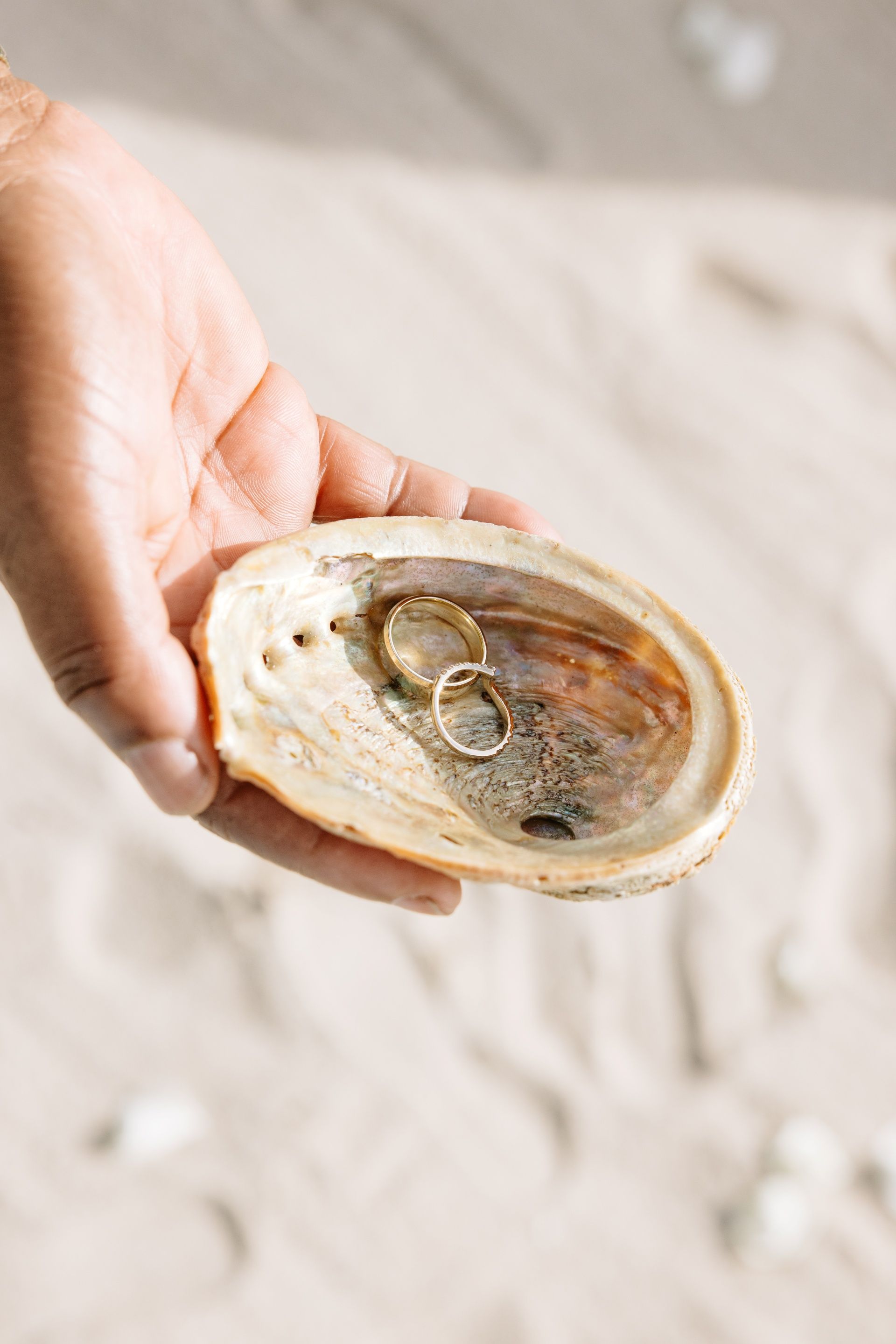 wedding rings displayed in a seashell on the beach