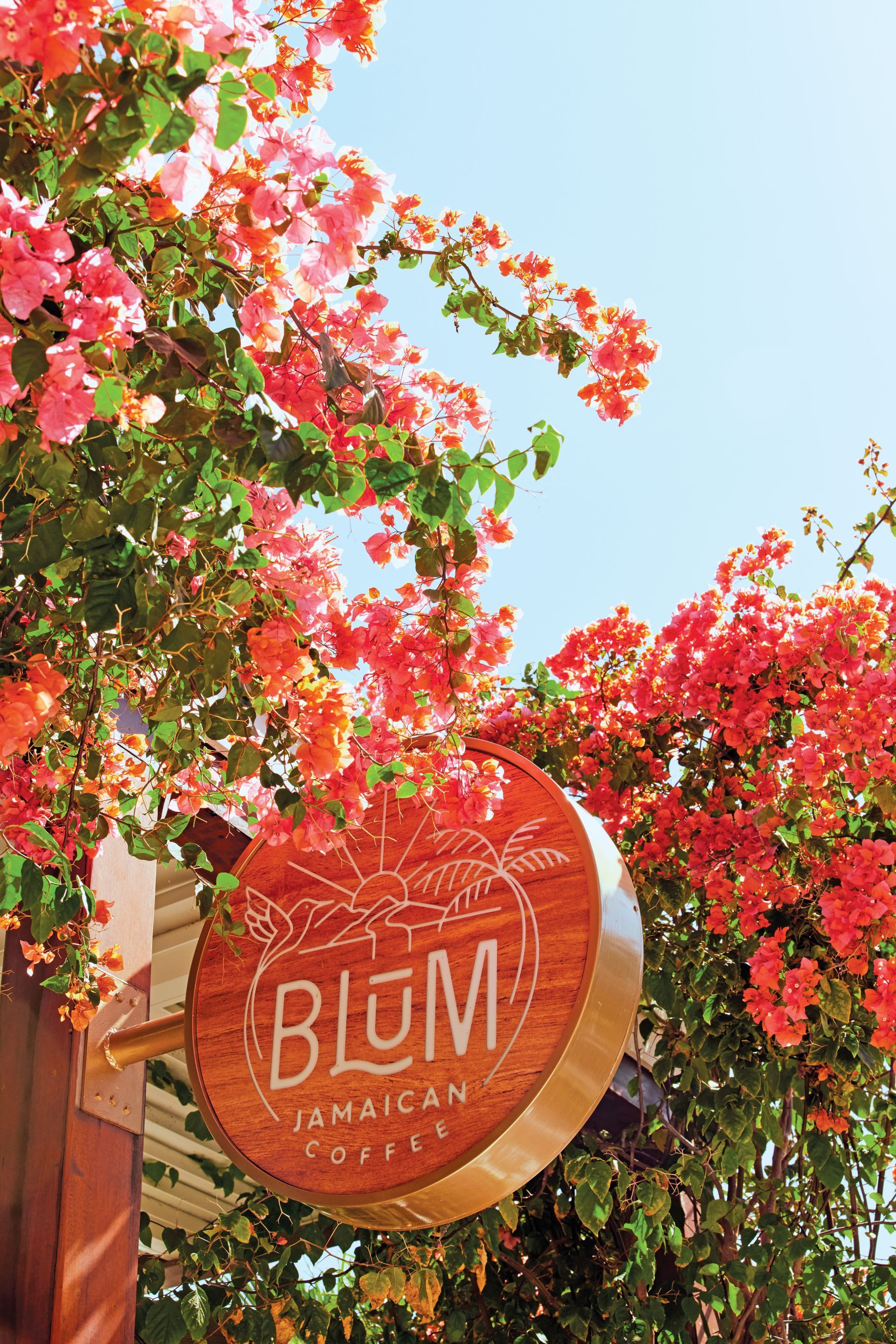 BLŪM cafe sign surrounded by vibrant tropical flowers at Sandals resort